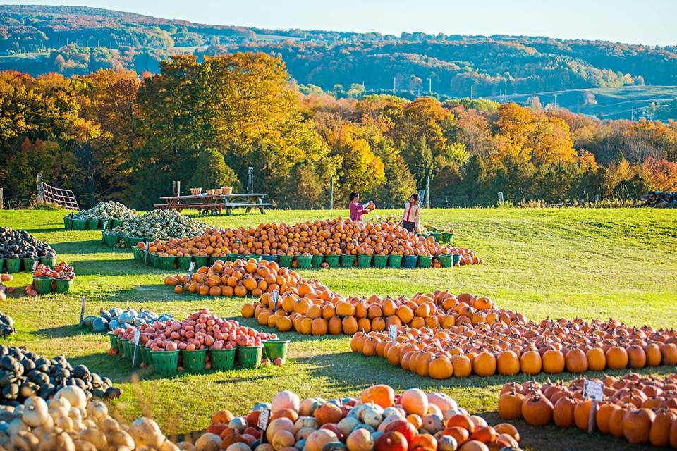 Fall Color Tours Michigan